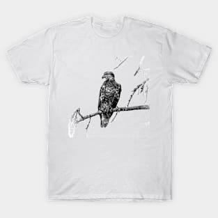 young eagle sitting on a branch up in a tree T-Shirt